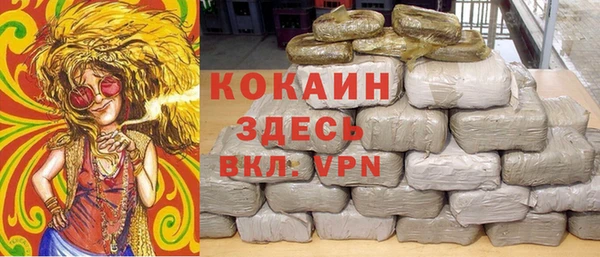 прущие грибы Балахна