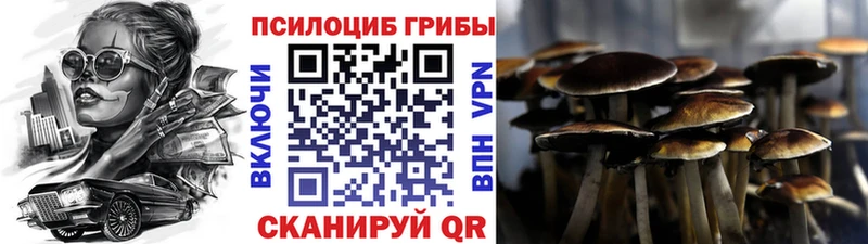Псилоцибиновые грибы Psilocybine cubensis  Нижняя Салда 